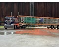 DPS Cattle livestock trailer 2AXLE - Length : 1153.8mm