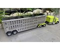 DPS CATTLE LIVESTOCK TRAILER 2AXLE - LENGTH : 900MM