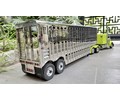 DPS CATTLE LIVESTOCK TRAILER 2AXLE - LENGTH : 900MM