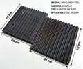 DPS Crusher Jaw Plate set