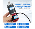 42GP-4250 24V Ice Crusher Motor 